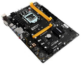 Biostar TB250-BTC 6 GPU Mining Motherboard - hashrate.co.za